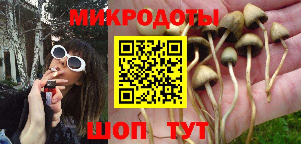 Галлюциногенные грибы мицелий Сухой Лог