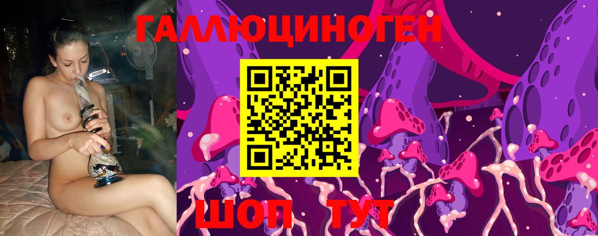Сухой Лог  Галлюциногенные грибы мухоморы  Вход с VPN 