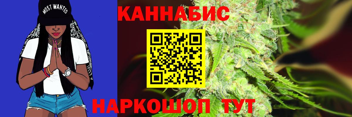 Каннабис планчик Сухой Лог